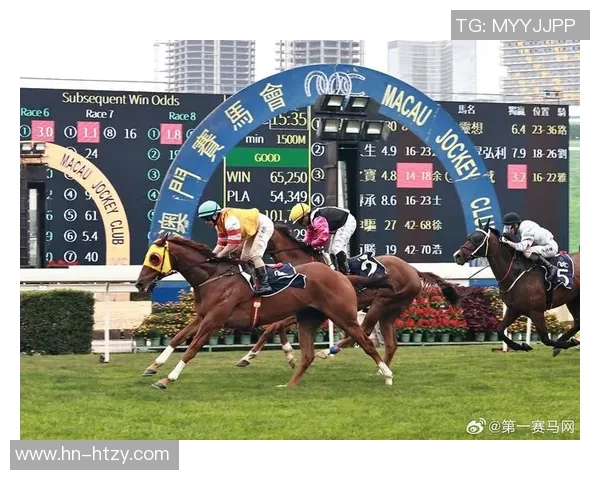 探秘绿帽足球系统的全面解析与实用指南